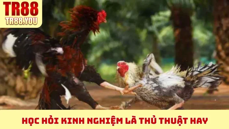 Học hỏi kinh nghiệm là thủ thuật hay