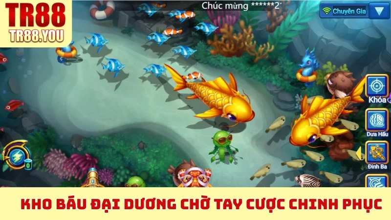 Kho báu đại dương chờ tay cược chinh phục