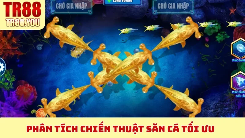 Phân tích chiến thuật săn cá tối ưu