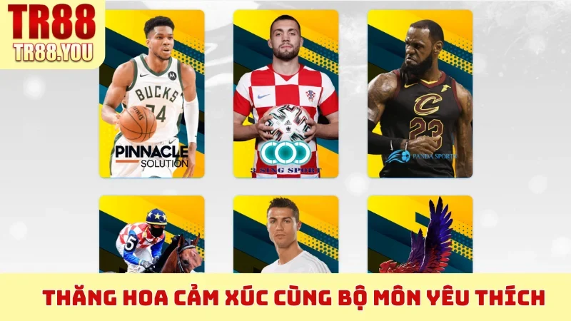 Thăng hoa cảm xúc cùng bộ môn yêu thích