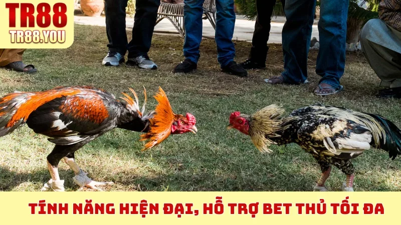 Tính năng hiện đại, hỗ trợ bet thủ tối đa